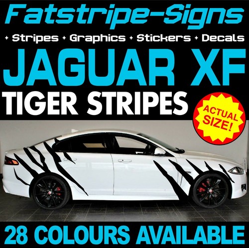 Fit jaguar tiger stripes - jaguar,