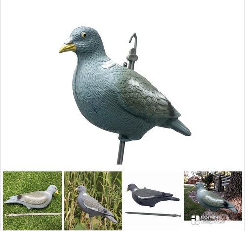 Decoy shell pigeons pack - pigeons, 12-pack