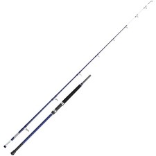 Shakespeare Salt Uptide Rod 9'
