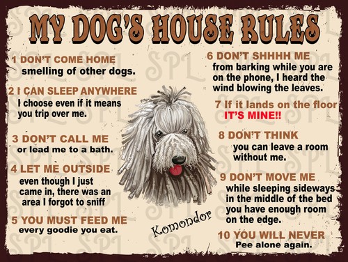 Dog house rules - rules, komondor