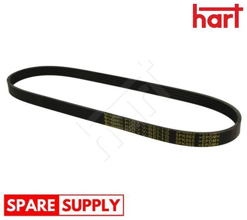 Ribbed belt for bmw e46 - v-ribbed,