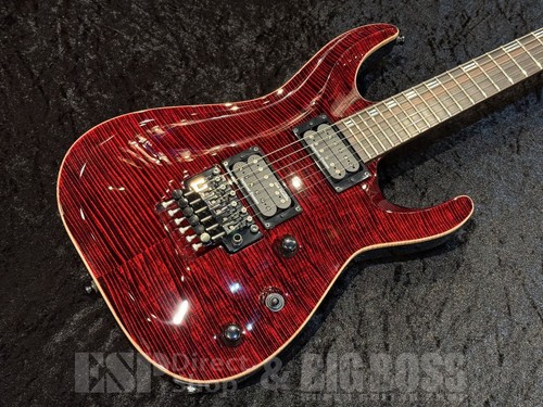 Esp horizon ctm used - esp,