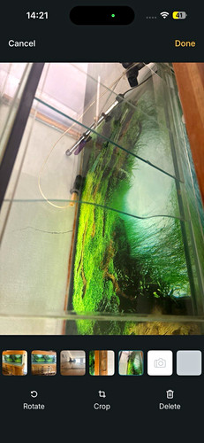 Aqua oak 180cm glass - oak,