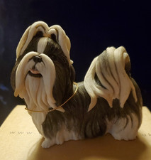 Shitzu Country Artist  Dog