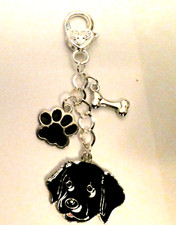 Beautiful Black Enamel