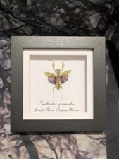 Jeweled flower praying mantis - jeweled,