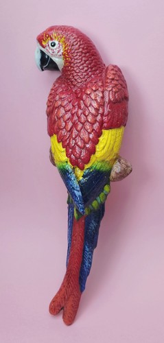 Wall parrot macaw - parrot, bird