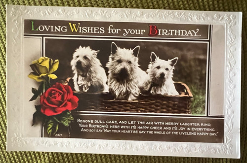 Antique postcard dog westie - antique,
