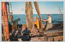 Commercial Fishing Boat, Cape