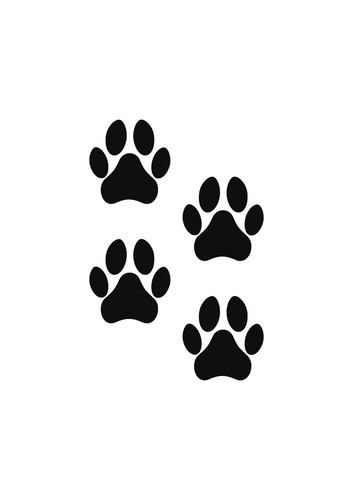 Set dog paw - 4, vinyl