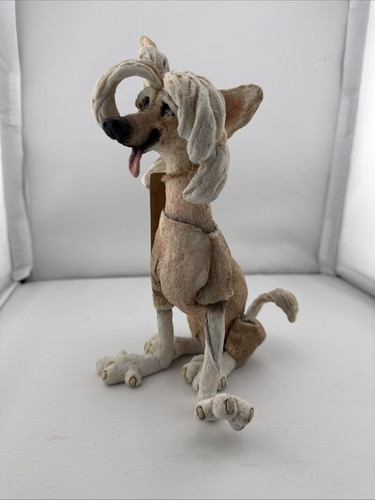 Breed apart chinese crested - breed,