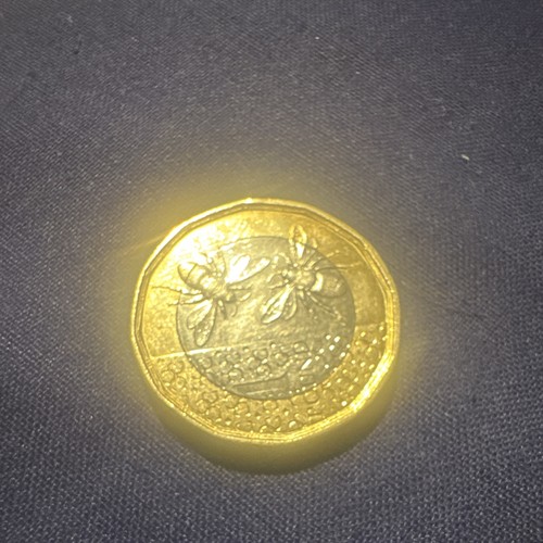 2023 one pound coin - £1,