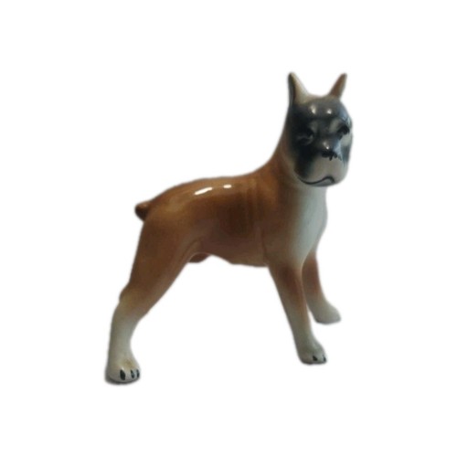 Boxer brown dog - brown,