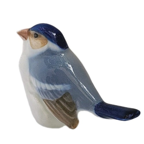 Royal copenhagen finch - royal, bird