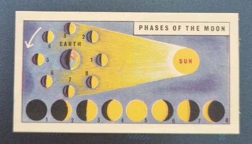 1958 brooke bond - brooke, card