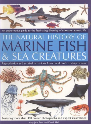 Marine fish authoritative - marine, fish: