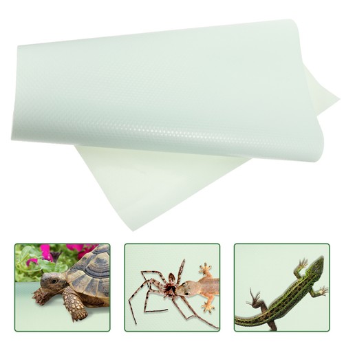 Reptile carpet - reptile,
