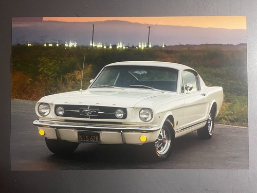 1965 ford mustang fastback - gt,