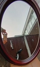 Oval Shapes Mirror