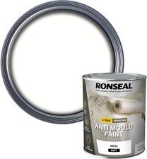 AMPWM750 anti Mould Paint