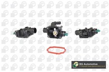 Coolant Thermostat Fits