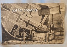 Donkey At Carisbrooke Castle Isle of Wight Vintage Postcard Unposted Peacock