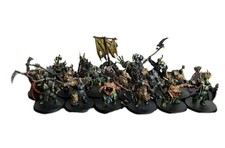 17 x Putrid Blightkings Aos