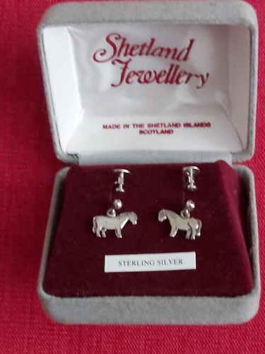 Shetland silver - shetland, pony