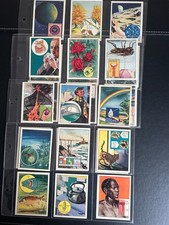 FULL SET - J BIBBY (TREX)