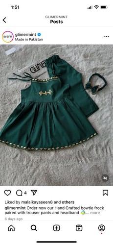 Punjabi suit green - suit, bronze