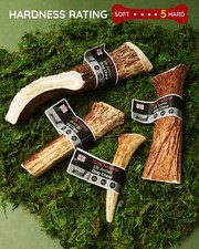 Elk Antler Dog Chew - Very Long Lasting Full of Minerals 100% Natural Dog Chew 