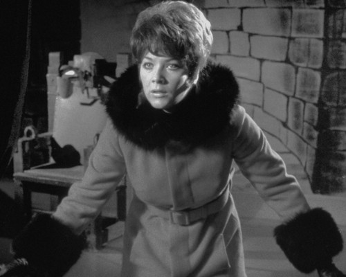 Linda thorson the avengers - linda,