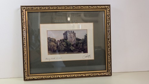 Blarney castle county - blarney,