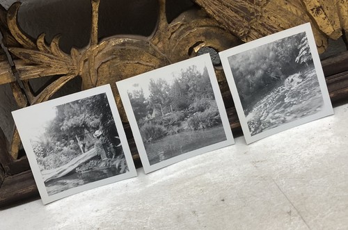 Lot amatuer photos - of,