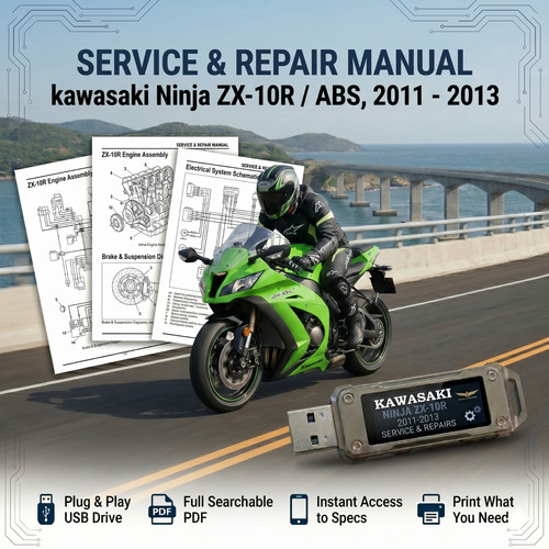 Kawasaki ninja 10r abs - /,