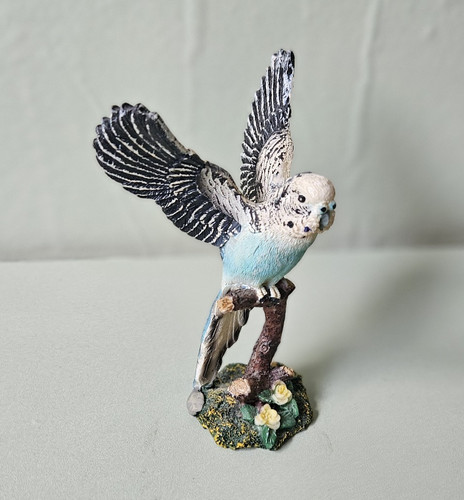 Blue white budgie - blue,