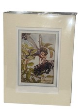 Vintage Flower Fairies & Mount