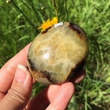 Septarian Dragon Stone Palm