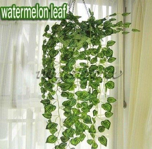 Artificial trailing ivy leaf - artificial,
