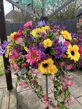 Large Bright Complete Hanging