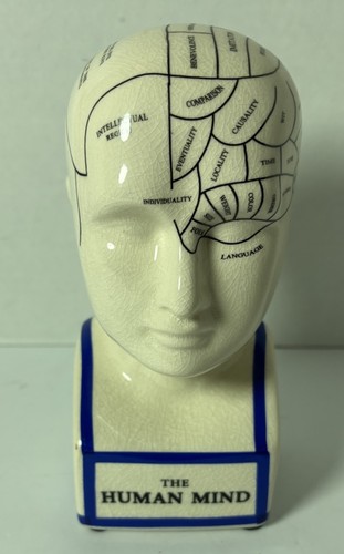 Phrenology the human mind head - the,