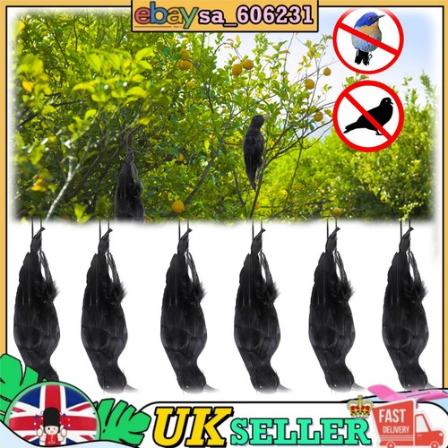 Realistic hanging dead - 1-5x,