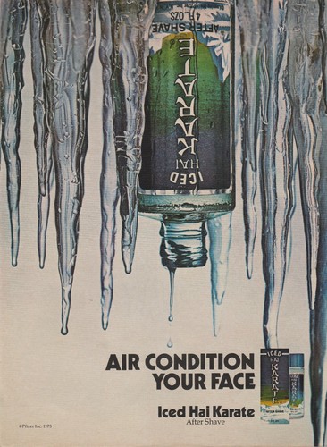 1973 iced hai karate after - iced,