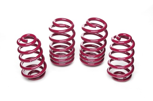Vogtland lowering springs - lowering,