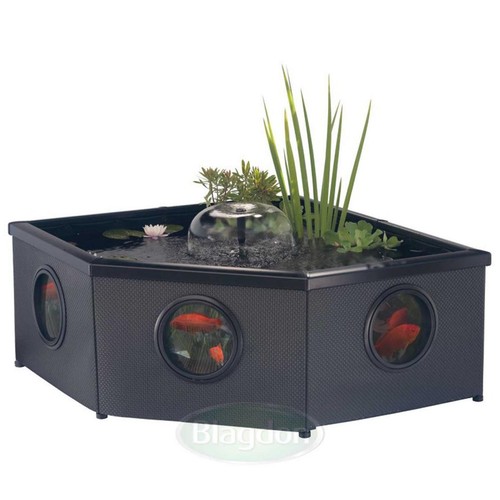 Blagdon affinity garden ponds - garden,
