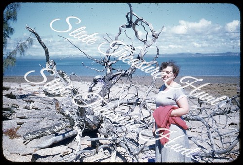 Australia rat island woman - rat,