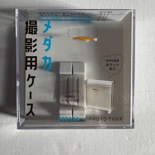 Medaka fish photo box case - photo,