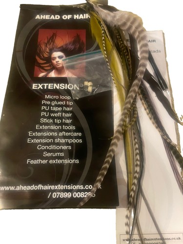 Game bird hair feathers - bird,