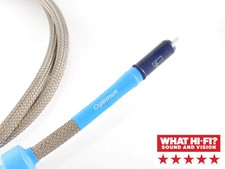 Clearer Audio Silver-line Optimus 75 WBT Silver Digital Interconnect Cable  50cm