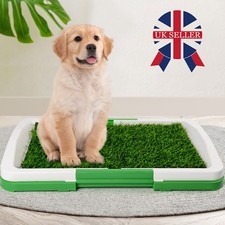 Puppy Dog Pee Toilet Training